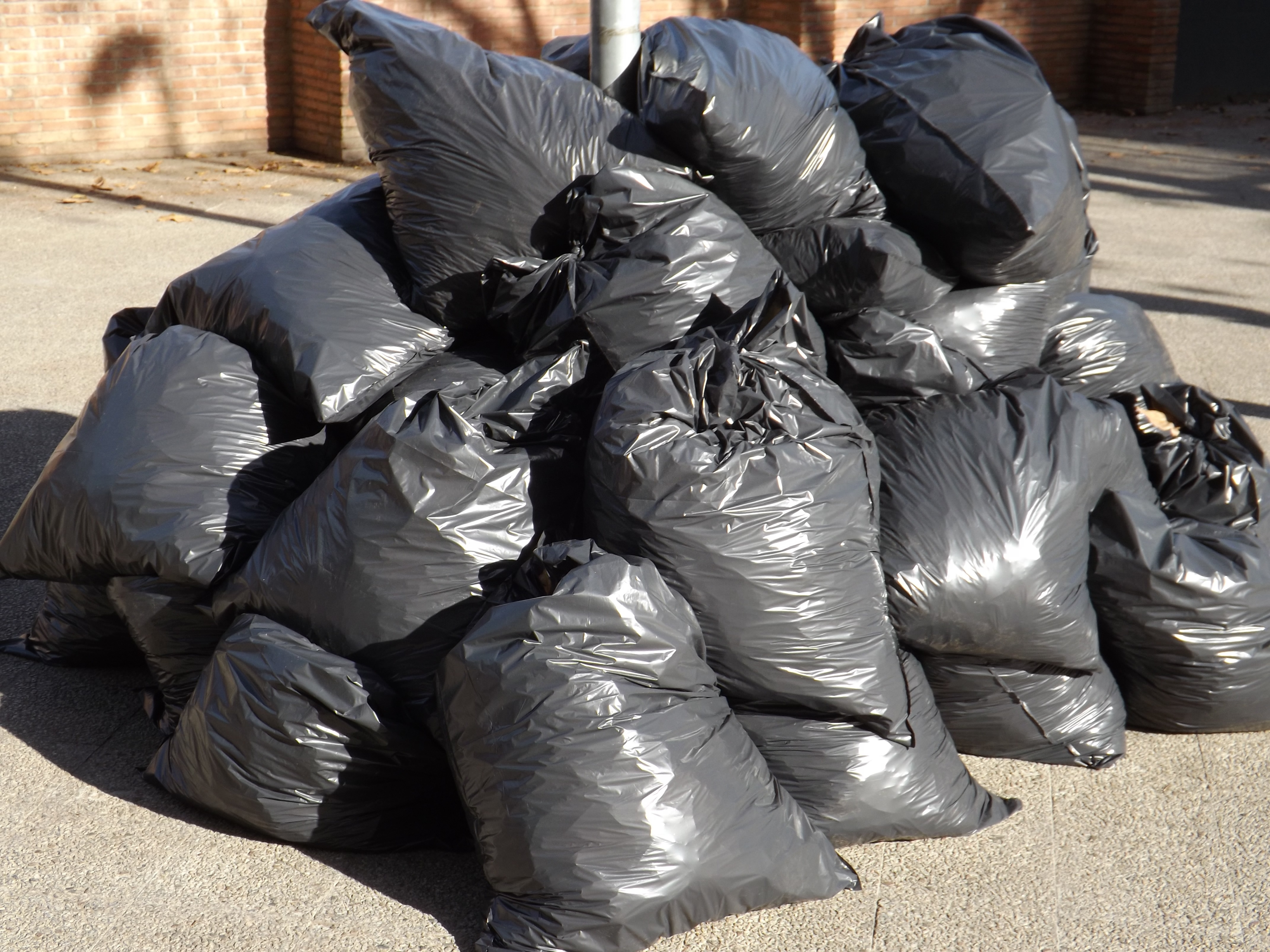 Eco Waste Bags Pack of 50